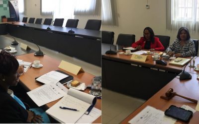 Regulier overleg tussen Hoge Colleges van Staat en de SER geconsolideerd