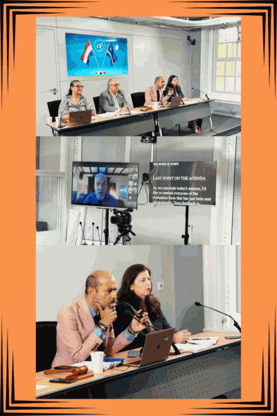 SER’en wereldwijd buigen zich over bestaande partnerschap met ILO