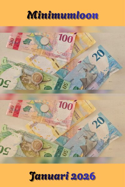 SER adviseert over minimumloon per 1 januari 2026