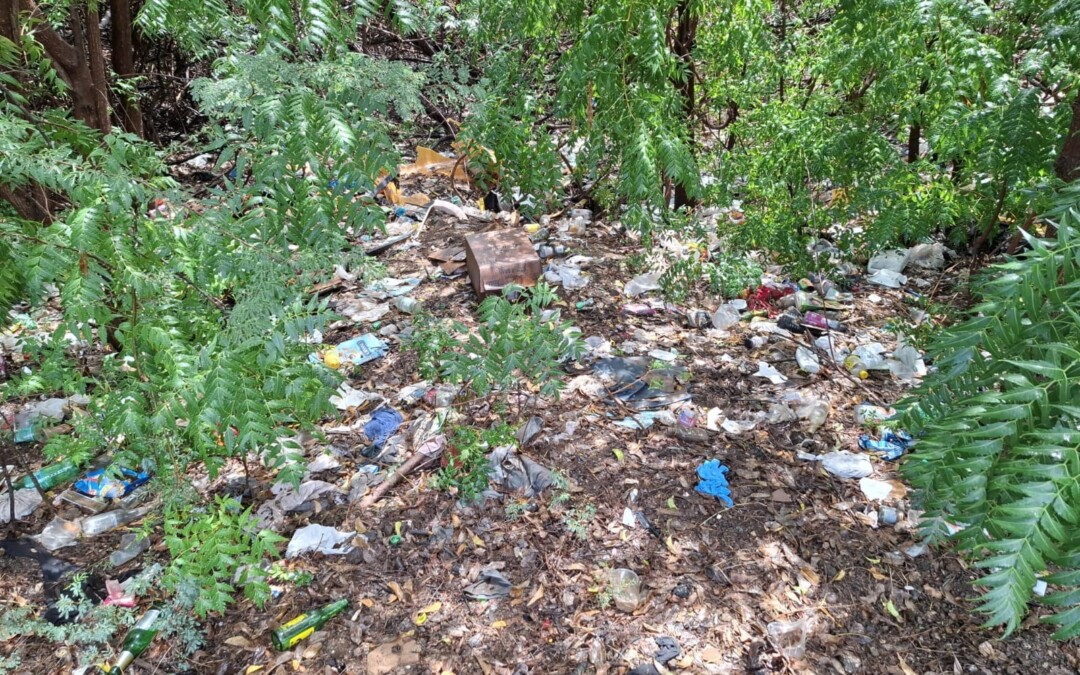 SER bekijkt plasticplan breder dan verbod op wegwerpartikelen